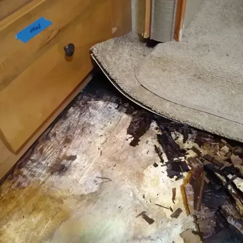 Best Wood Floor Water Damage Service in Escobares, TX